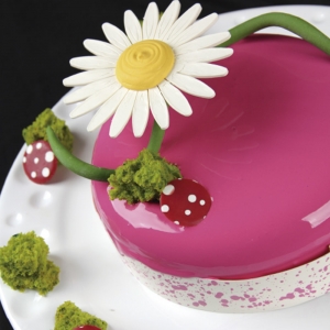 Entremet Delícia de Framboesa