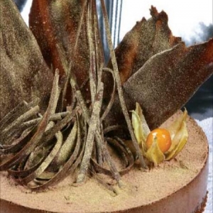 Torta Belcolato Cremosa