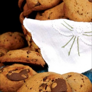 Cookies de Chocolate Com Centrolex TM F