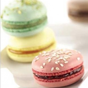 Ireks Mon Macaron