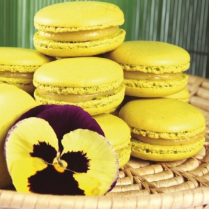 Macarons de Limão e Merengue