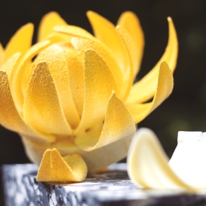 Ovo Flor de Lotus