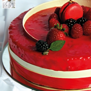 Elegance Entremet