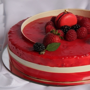 Elegance Entremet