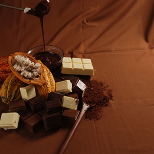 Tipos de Chocolates